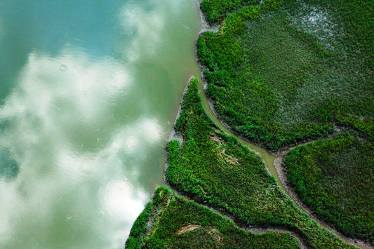 "Panta rhei" - the Oder river and difficulties in identifying contamination