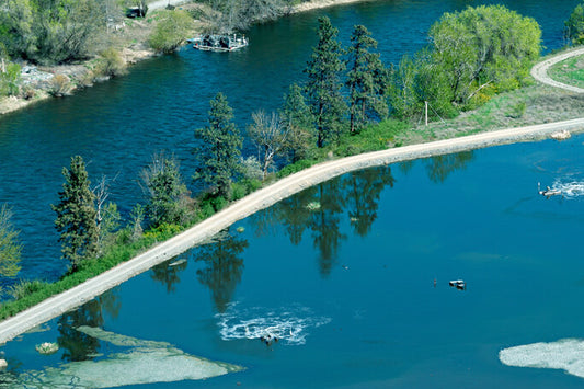 Cyanobacteria in the water, a nightmare of Polish bathing waters