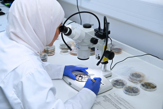 Microscopic examination of activated sludge - why monitor its composition?